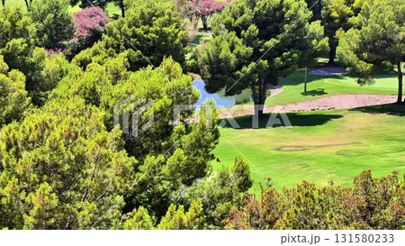 A scenic landscape of a beautiful golf course designed with lush trees and a lovely water feature 131580233