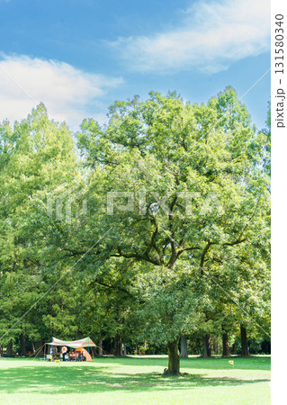 「埼玉県」秋ヶ瀬公園の風景 夏 「埼玉県」秋ヶ瀬公園の風景 夏 131580340