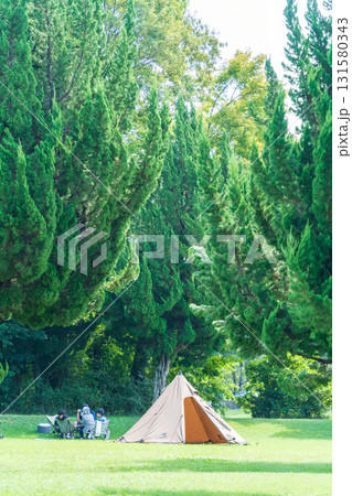 「埼玉県」秋ヶ瀬公園の風景　夏 131580343