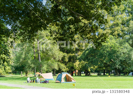 「埼玉県」秋ヶ瀬公園の風景　夏 131580348