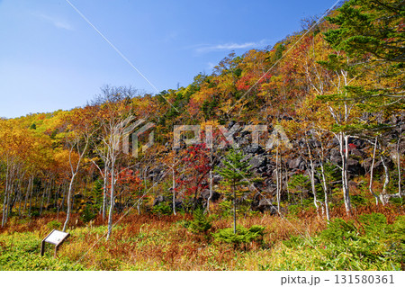 千畳くずれと紅葉 千畳くずれと紅葉 131580361