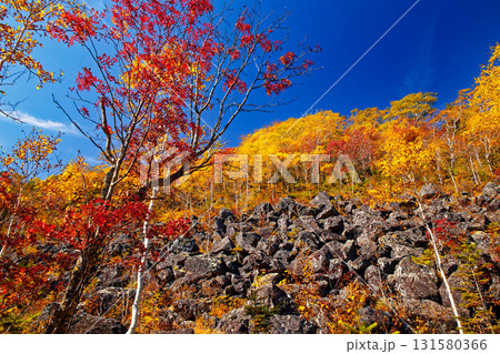千畳くずれと紅葉 131580366