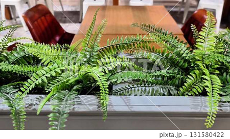 Vibrant Ferns Adding Life and Energy to a Modern Dining Space with Style and Comfort 131580422