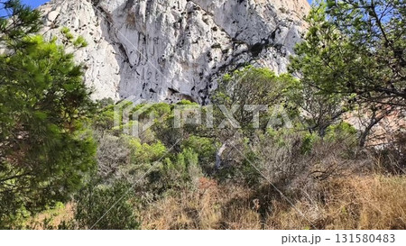 Behold the Majestic Rocky Cliff That is Surrounded by Lush Greenery and Vibrant Ecosystem Behold the Majestic Rocky Cliff That is Surrounded by Lush Greenery and Vibrant Ecosystem 131580483