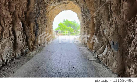 A picturesque Scenic Tunnel View that features a beautiful Pathway and lush Greenery all around 131580496