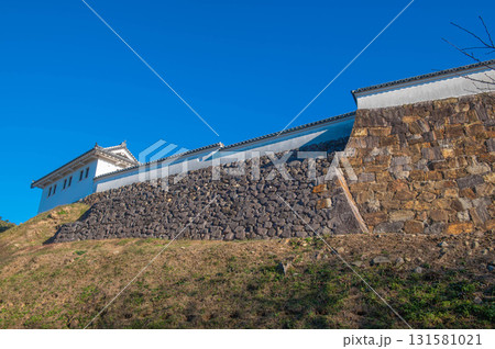富岡城の石垣 131581021