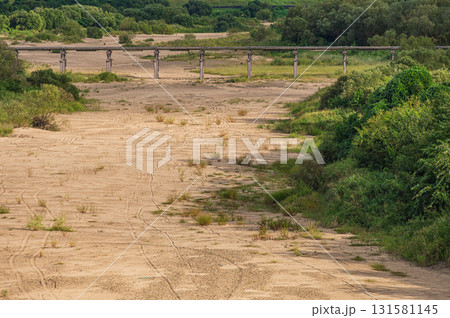 木津川風景　上津屋橋（流れ橋）　京都南道路上からの景観　京都府八幡市 131581145
