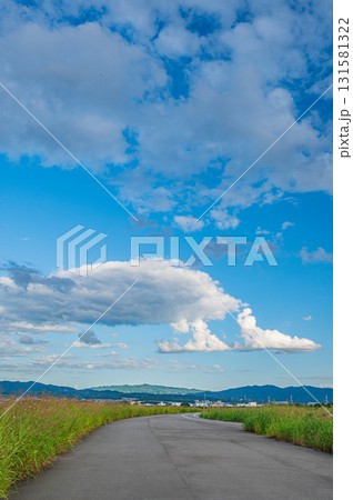 木津川堤防上の道 京奈和自転車道 京都府八幡市 木津川堤防上の道 京奈和自転車道 京都府八幡市 131581322