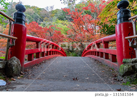 岩屋堂公園 くれない橋 岩屋堂公園 くれない橋 131581584