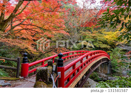 岩屋堂公園 くれない橋 岩屋堂公園 くれない橋 131581587