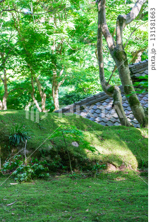 近江八幡の古刹 小堀遠州による庭園 苔庭 近江八幡の古刹 小堀遠州による庭園 苔庭 131581663
