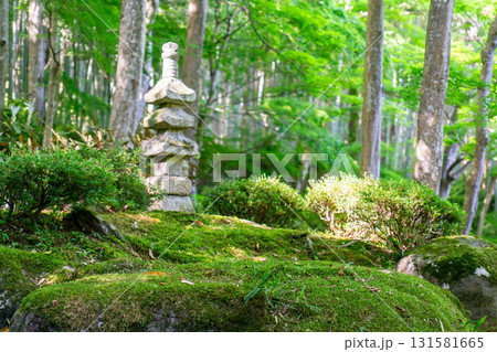近江八幡の古刹　小堀遠州による庭園　苔庭と石塔 131581665