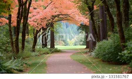 紅葉シーズンの自然に囲まれた静かな散歩道 131581767