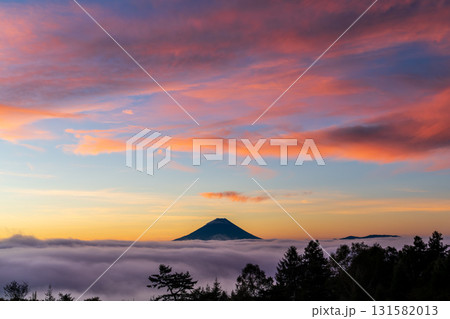 甘利山から朝焼けの雲海に浮かぶ富士山 131582013