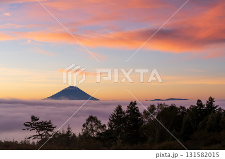 甘利山から朝焼けの雲海に浮かぶ富士山 131582015