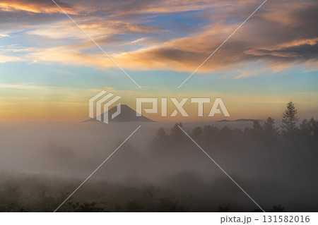 甘利山から朝焼けの雲海に浮かぶ富士山 131582016