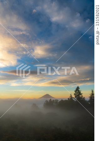 甘利山から朝焼けの雲海に浮かぶ富士山 甘利山から朝焼けの雲海に浮かぶ富士山 131582021