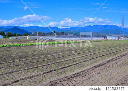 赤城高原野菜畑　尾瀬の山並　昭和村 131582275