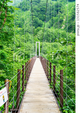 白山国立公園　砂防新道　別当出合吊橋　初夏の白山御前峰登山 131582574