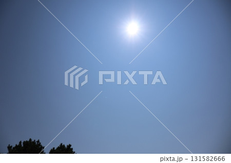 白く輝く太陽と青空と緑の樹の風景 白く輝く太陽と青空と緑の樹の風景 131582666
