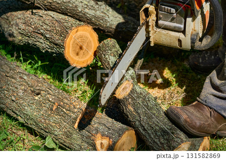 Woodworking,lumberjack. Sawing a tree trunk with a chainsaw Woodworking,lumberjack. Sawing a tree trunk with a chainsaw 131582869
