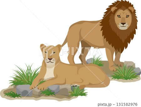 2匹のライオン 131582976