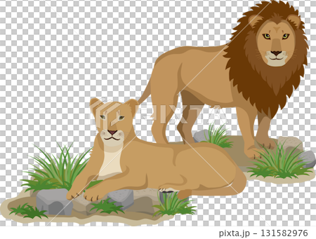 兩個獅子 131582976