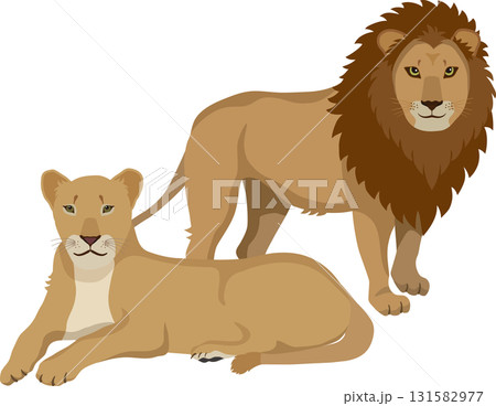 雄と雌のライオン 131582977