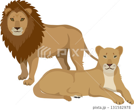 雄のライオンと座る雌のライオン 雄のライオンと座る雌のライオン 131582978