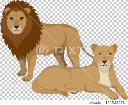 雄獅和雌獅坐著 131582978