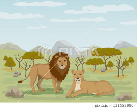 昼のサバンナとライオン 131582980