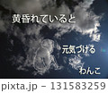 白い雲を見ていると何かに見えてくるね 131583259