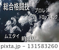 白い雲を見ていると何かに見えてくるね 131583260