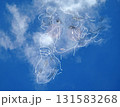 白い雲を見ていると何かに見えてくるね 131583268