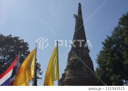 タイ アユタヤ ワット・ヤイチャイモンコン の仏塔 131583525