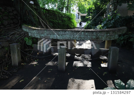 桜島 さくらじま 鹿児島 131584297
