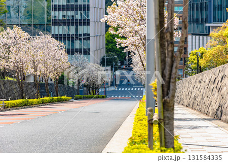 東京 皇居周辺 東京 皇居周辺 131584335
