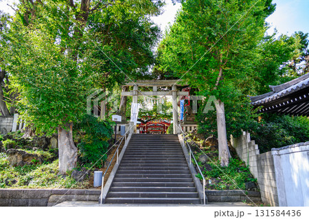 東京都品川区大崎　居木神社（いるぎじんじゃ）　鳥居　江戸時代から厄払いのパワースポット 131584436