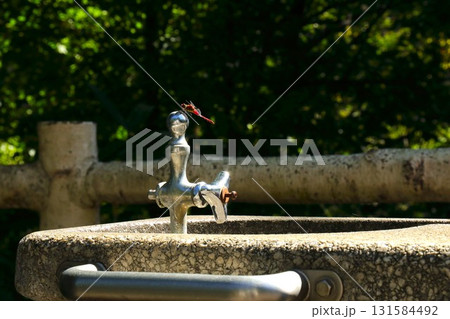 【青森県青森市】野木和公園の水飲み場と赤とんぼ 【青森県青森市】野木和公園の水飲み場と赤とんぼ 131584492