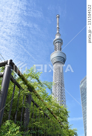 東京スカイツリー 東京都墨田区押上 東京スカイツリー 東京都墨田区押上 131584522