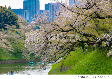 東京　皇居周辺 131584587