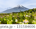 Scenic view of Mount Fuji during springtime with lush foliage and flowers in foreground 131584606