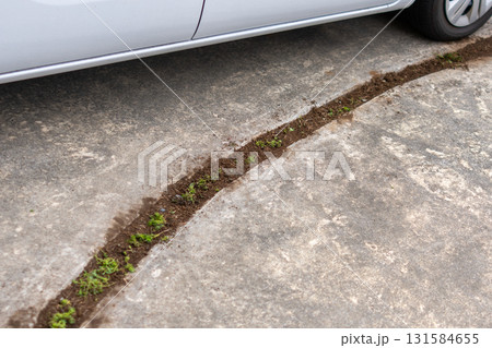 駐車場のスリットの草を取る 131584655