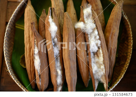 White kapok in a broken brown shell are placed in a round bamboo basket. Prepared for use as raw material for weaving into fabric. White kapok in a broken brown shell are placed in a round bamboo basket. Prepared for use as raw material for weaving into fabric. 131584673