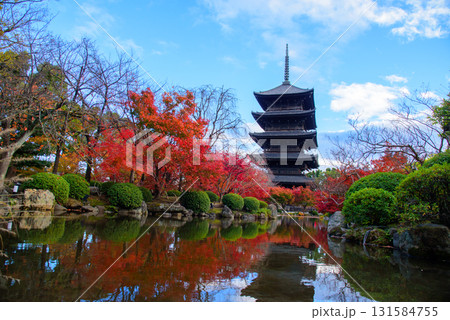真っ赤な紅葉に包まれた東寺 真っ赤な紅葉に包まれた東寺 131584755