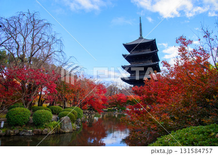 真っ赤な紅葉に包まれた東寺 真っ赤な紅葉に包まれた東寺 131584757