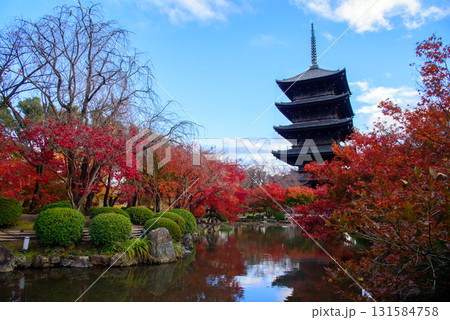 真っ赤な紅葉に包まれた東寺 真っ赤な紅葉に包まれた東寺 131584758
