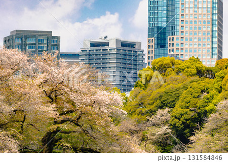東京 皇居周辺 東京 皇居周辺 131584846