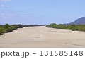 出雲市斐川町の瑞穂大橋から見た渇水時の斐伊川 131585148