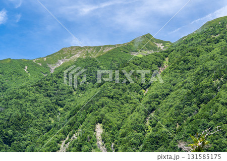 聖沢ルート登山道の乗越から見上げる聖岳(前聖岳と奥聖岳) 南アルプス聖岳登山 聖沢ルート登山道の乗越から見上げる聖岳(前聖岳と奥聖岳) 南アルプス聖岳登山 131585175
